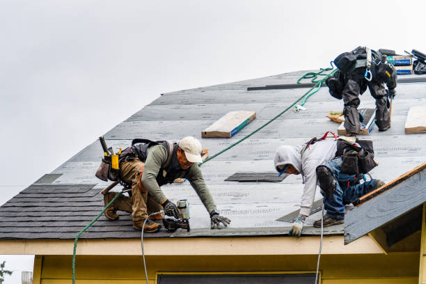 Professional Gutter Installation technician working in Houston, AK